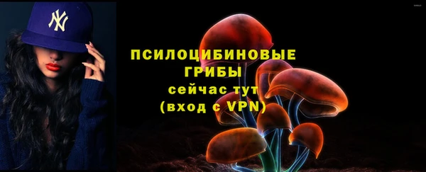 хмурый Мегион