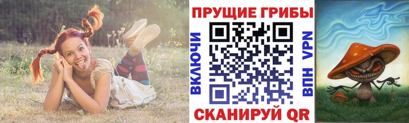 хочу   Малая Вишера  Псилоцибиновые грибы мухоморы 