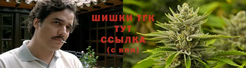 Бошки Шишки планчик  где продают наркотики  Малая Вишера 